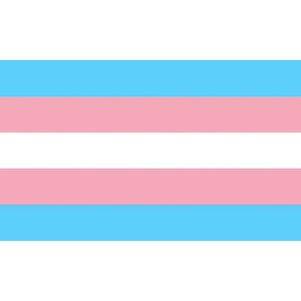 PRIDE - TRANSEXUAL FLAG 90 X 150