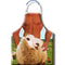 Aprons
